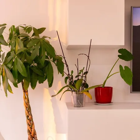 The Sunset Flat - Design & Relax