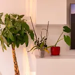 The Sunset Flat - Design & Relax